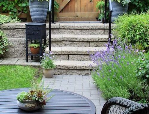 Landscaping Ideas for Small Backyards in Castle Rock